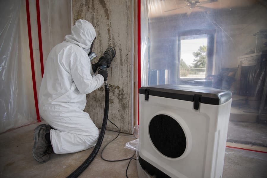 Mold Remediation in Prescott, AZ